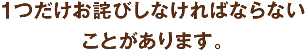 1つだけお詫びしなければならないことがあります。